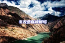 冬天會有蟑螂嗎