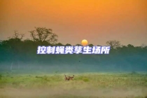 控制蠅類孳生場所