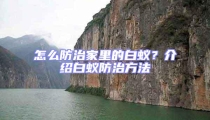 怎么防治家里的白蟻？介紹白蟻防治方法