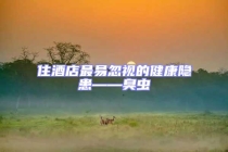 住酒店最易忽視的健康隱患——臭蟲(chóng)