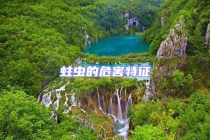 蛀蟲(chóng)的危害特征