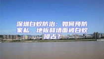 深圳白蟻防治：如何預防家私、地板和墻面被白蟻侵占？