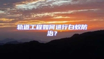 軌道工程如何進行白蟻防治？