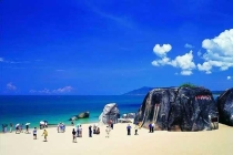 殺蟲劑常用分類，做消殺必讀！