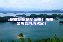 煙草粉螟是什么蟲？殺蟲公司如何消滅它？