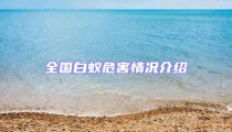 全國白蟻危害情況介紹
