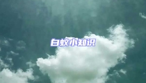 白蟻小知識
