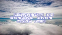 【深圳滅臭蟲公司】家里有臭蟲怎么辦，室內臭蟲怎么消滅（圖解）