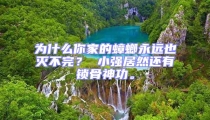 為什么你家的蟑螂永遠(yuǎn)也滅不完？ 小強居然還有鎖骨神功。