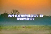 為什么家里會有臭蟲？如何消滅臭蟲？