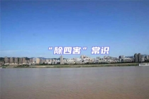 “除四害”常識(shí)