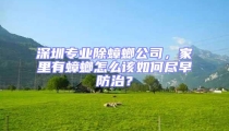 深圳專業(yè)除蟑螂公司，家里有蟑螂怎么該如何盡早防治？