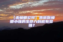 【殺蟑螂公司】告訴你蟑螂小強的生命力到底有多強？