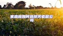 家庭應如何選擇滅老鼠公司