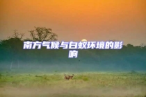 南方氣候與白蟻環境的影響