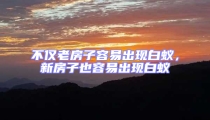不僅老房子容易出現白蟻，新房子也容易出現白蟻