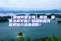 【深圳滅鼠公司】飯店、食堂怎樣滅鼠？廚房防鼠滅鼠更佳方法送給你！