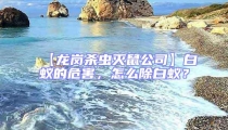 【龍崗殺蟲滅鼠公司】白蟻的危害，怎么除白蟻？
