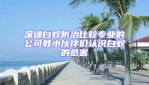 深圳白蟻防治比較專業的公司教小伙伴們認識白蟻的危害