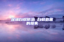 深圳白蟻防治 白蟻危害的損失