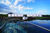 家里有螞蟻，如何消滅它們？