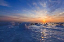 企業(yè)選擇殺蟲(chóng)公司的必要性有哪些