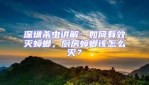 深圳殺蟲(chóng)講解：如何有效滅蟑螂，廚房蟑螂該怎么滅？