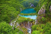 深圳殺蟲公司 怎么名利雙收！這才是飛蟲控制