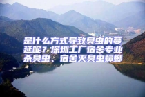 是什么方式導致臭蟲的蔓延呢？深圳工廠宿舍專業殺臭蟲、宿舍滅臭蟲蟑螂
