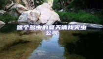 這個(gè)多蟲(chóng)的夏天請(qǐng)找滅蟲(chóng)公司