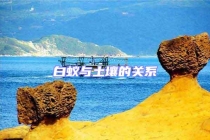 白蟻與土壤的關系