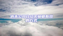 消殺公司介紹滅蟑螂有效的方式