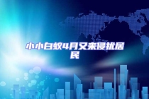 小小白蟻4月又來侵擾居民