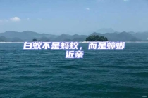 白蟻不是螞蟻，而是蟑螂近親