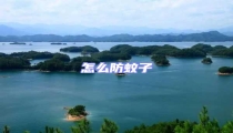 怎么防蚊子