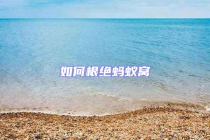 如何根絕螞蟻窩