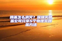 跳蚤怎么消滅？深圳滅跳蚤公司分享5個(gè)物理滅跳蚤方法