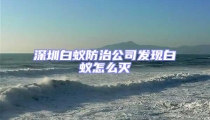 深圳白蟻防治公司發現白蟻怎么滅