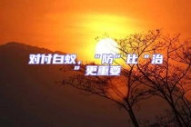 對付白蟻，“防”比“治”更重要