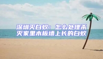 深圳滅白蟻：怎么處理殺滅家里木板墻上長的白蟻