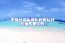 滅鼠公司告訴你如何進行超市滅鼠工作