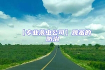 【專業殺蟲公司】跳蚤的防治