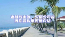 老鼠危害多，滅鼠公司告訴你最科學滅鼠方法