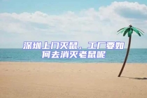 深圳上門(mén)滅鼠，工廠(chǎng)要如何去消滅老鼠呢