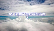 家里發(fā)現了白蟻該怎么辦？