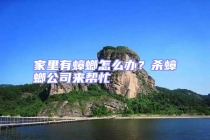 家里有蟑螂怎么辦？殺蟑螂公司來幫忙