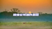 除蟲公司操作規(guī)范