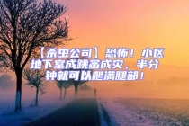 【殺蟲公司】恐怖！小區(qū)地下室成跳蚤成災(zāi)，半分鐘就可以爬滿腿部！