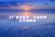 工廠發生鼠患，專業除蟲公司來解決