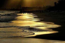 夏天來了，如何防止蚊蟲叮咬